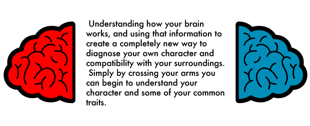 Understanding how your brain works, and using that information to create a completely new way to diagnose your own character and compatibility with your surroundings.Simply by crossing your arms you can begin to understand your character and some of your common traits.