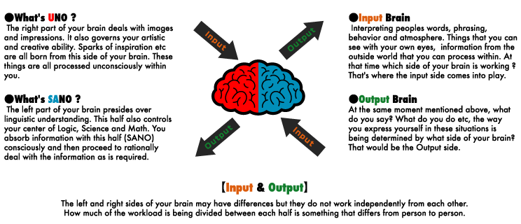 ��What's UNO ? ��What's SANO? ��Input Brain ��Output Brain
